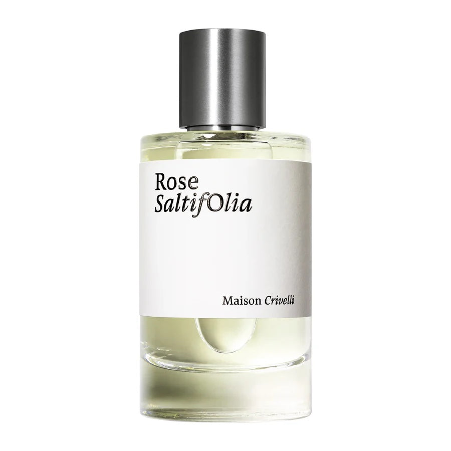 Rose Saltifolia